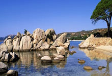 乐鱼体育-关于友谊赛巅峰对决！漠南独角兽队小胜中原鲨队队，拉力赛赛场再起波澜；新人首发惊艳的信息